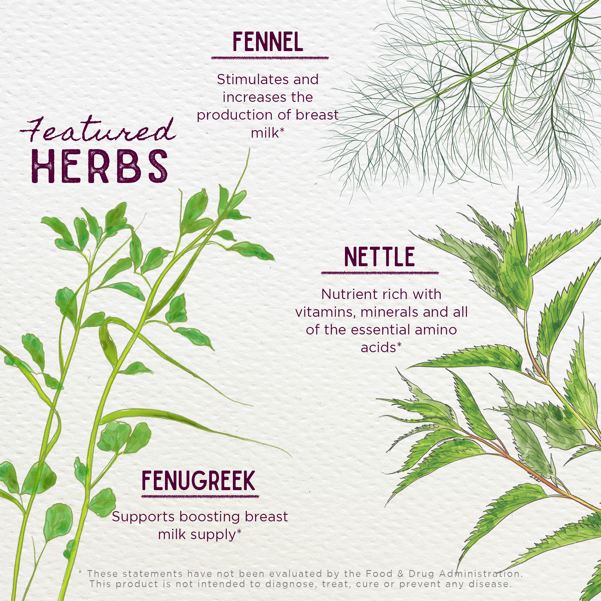 Milk Rich Supply Booster by WishGarden Herbs
