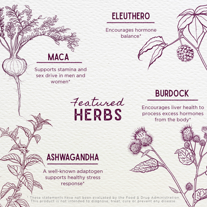 Male Mojo Libido Enhancer by WishGarden Herbs