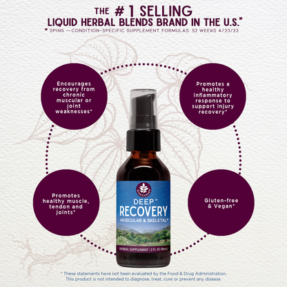 Deep Recovery Muscular &amp; Skeletal by WishGarden Herbs