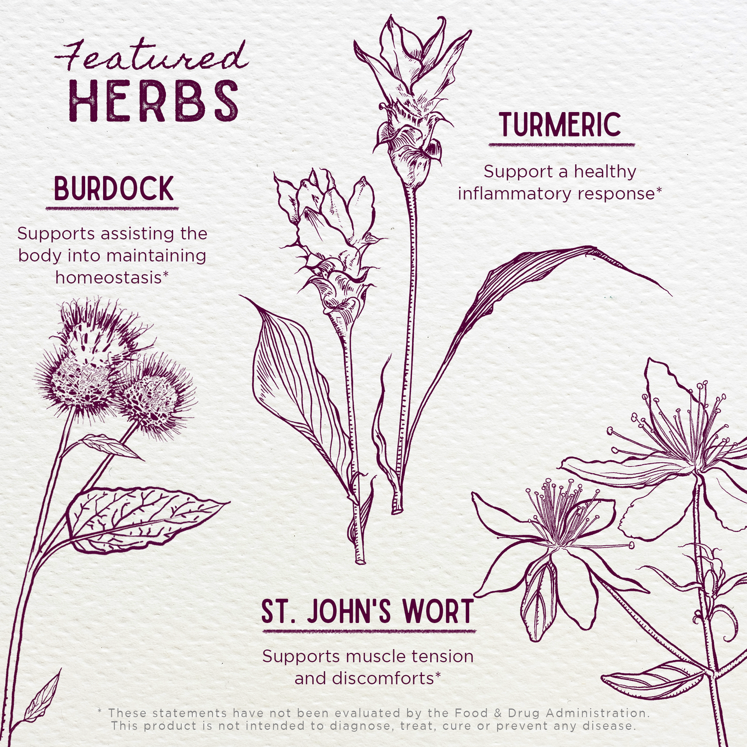 Deep Recovery Muscular &amp; Skeletal by WishGarden Herbs