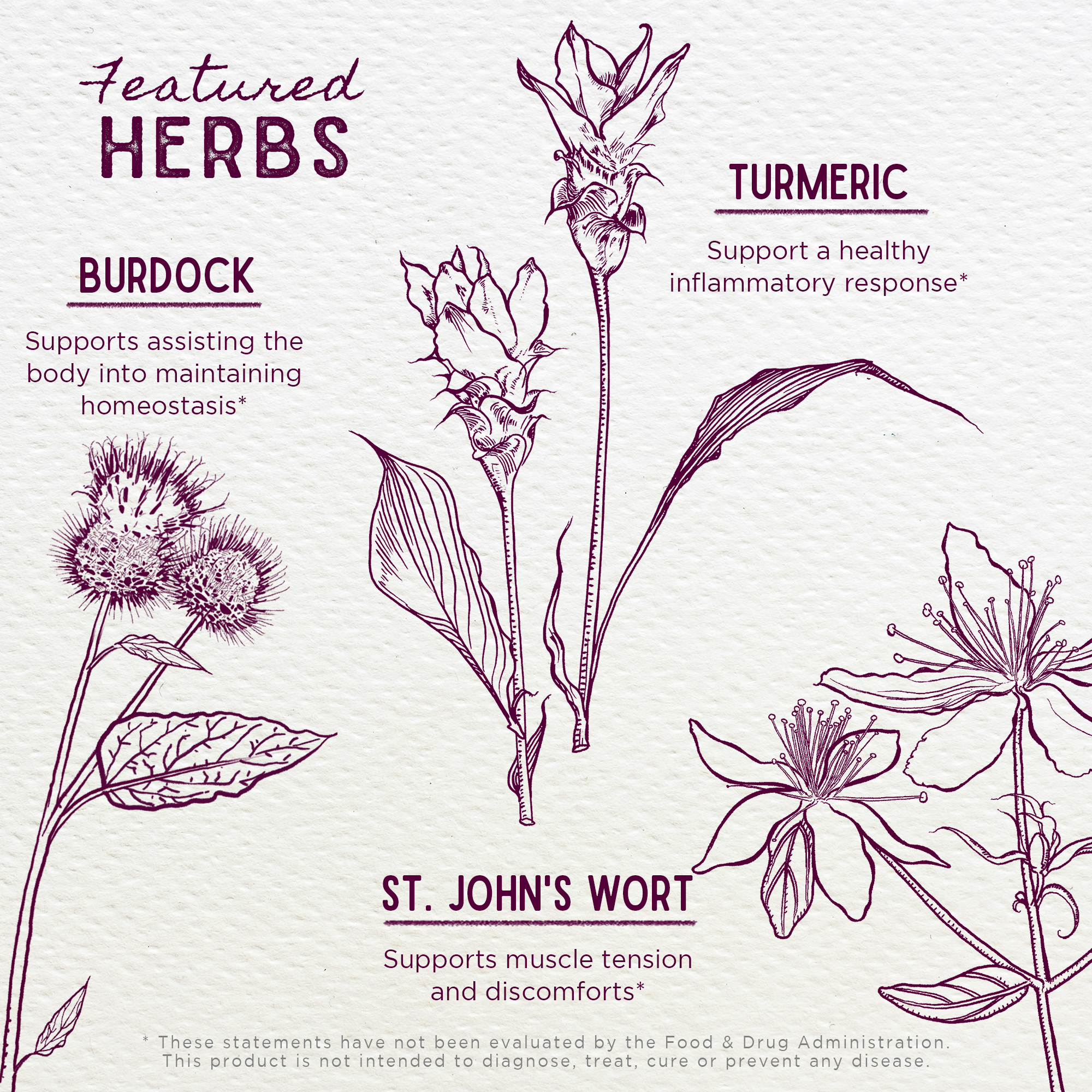 Deep Recovery Muscular &amp; Skeletal by WishGarden Herbs