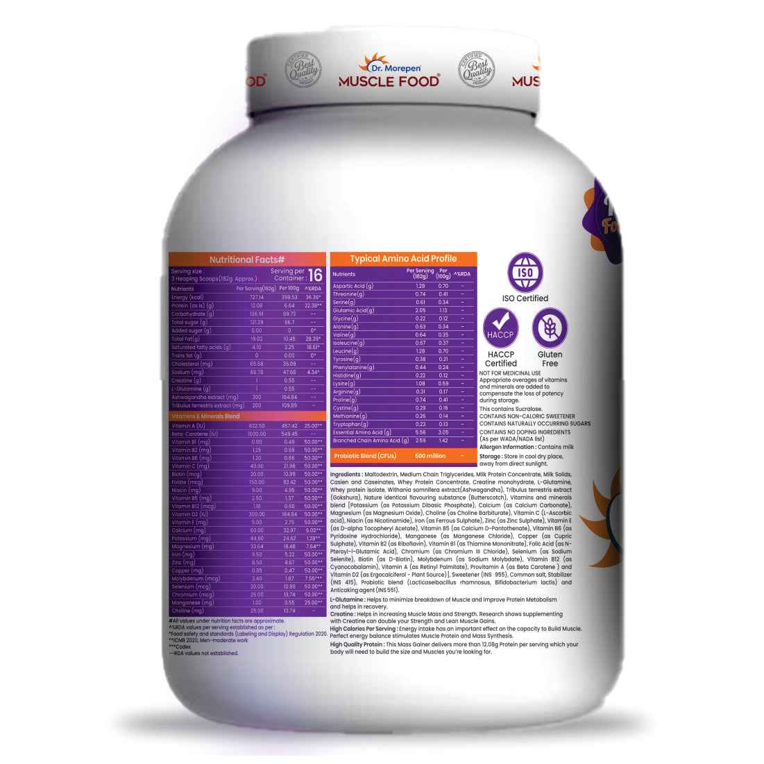 Dr Morpen Mass Gainer Butter Scotch