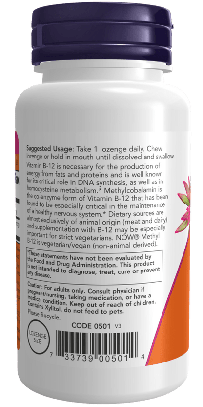 Methyl B-12 Extra Strength 10,000mcg by Country Life Natural Foods