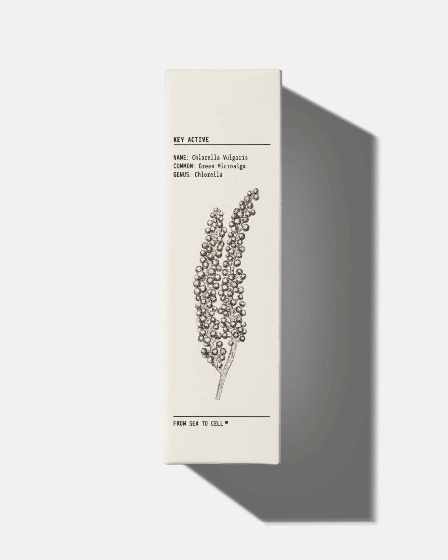 MATTIFYING MOISTURISER