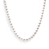 14K Yellow Gold 8.0x8.5mm Akoya Pearl Strand Necklace by Bids.com