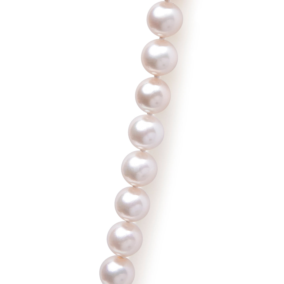 14K Yellow Gold 8.0x8.5mm Akoya Pearl Strand Necklace by Bids.com