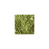 NYX Loose Pearl Eyeshadow - Lime