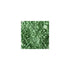 NYX Loose Pearl Eyeshadow - Grass