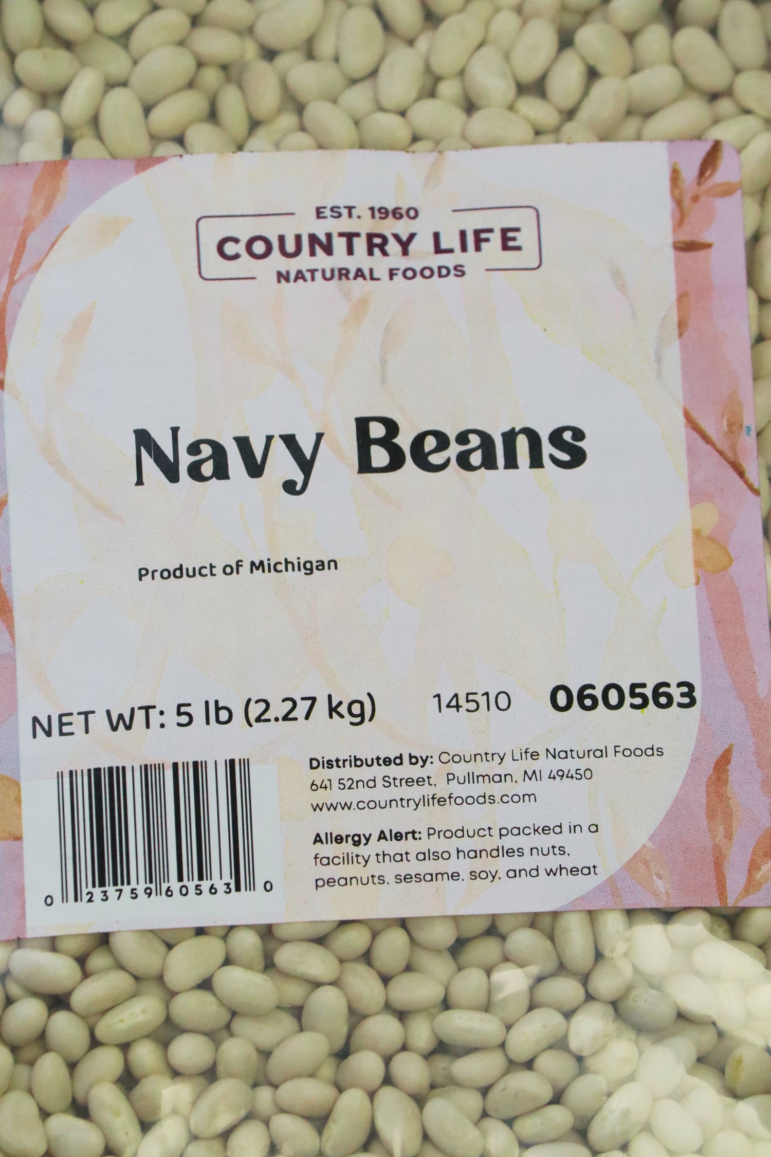 Navy Beans  DestGlow