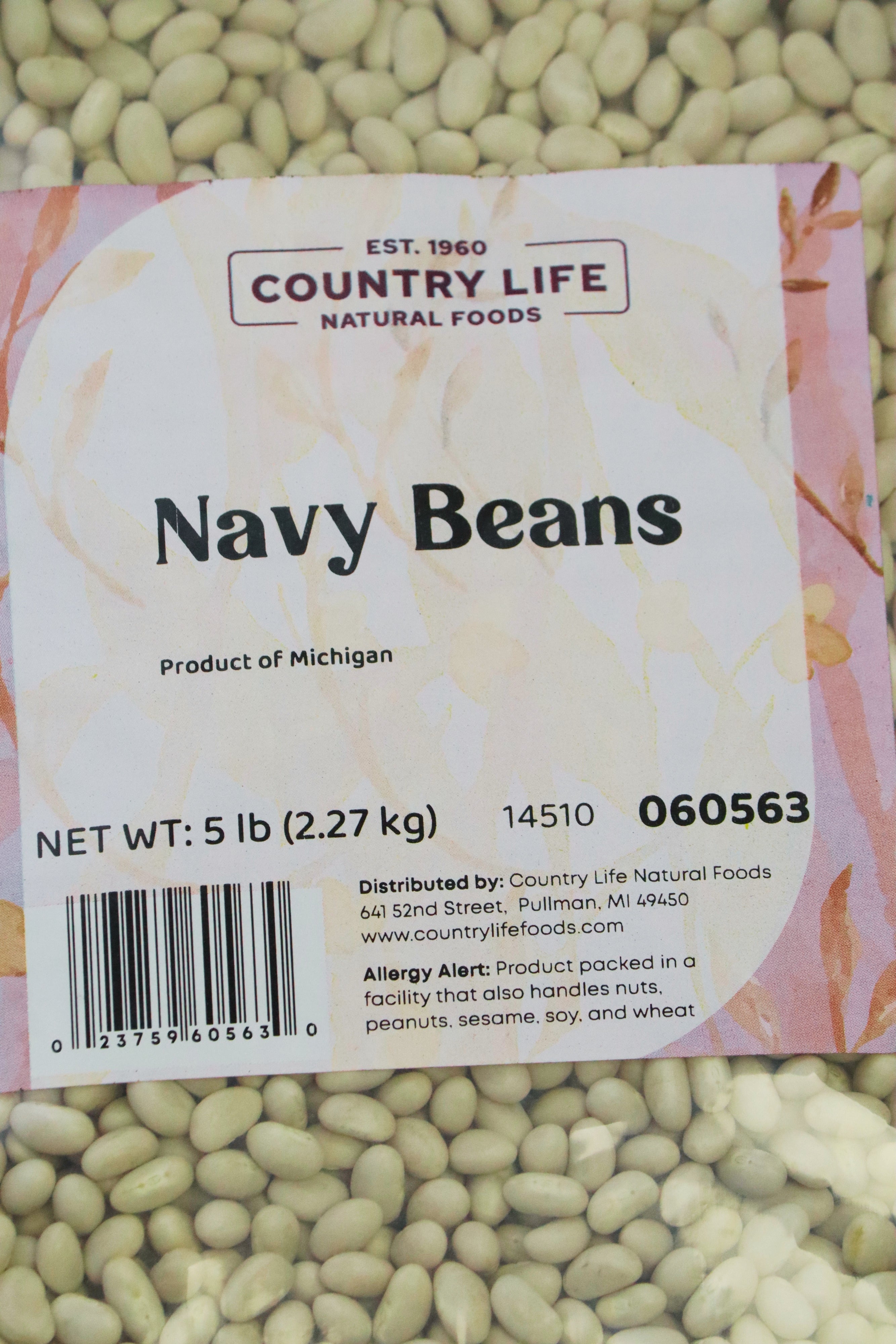 Navy Beans  DestGlow