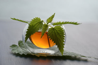 Nettle Leaf, Cut, Sifted  DestGlow