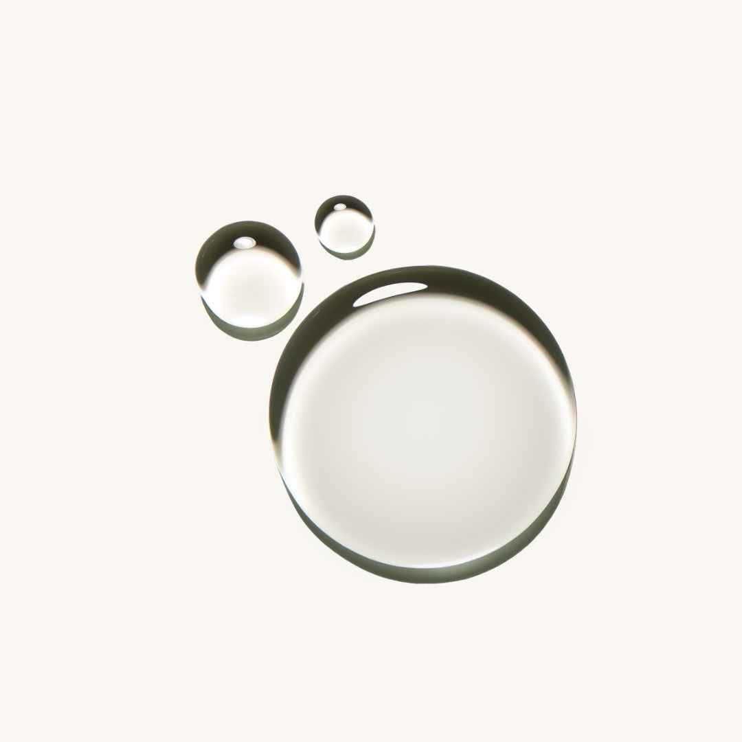 Nourish Plant Stem Cell Rehydrating Essence