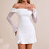 Autumn Winter off Shoulder Mesh Mixed Milk Silk Dress Sexy Backless Flared Long Sleeve Split Short Dress  DestGlow