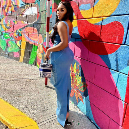 Denim Women Wear Spring Summer Sexy Backless Zipper High Elastic Split Dress for Women by Ragazza