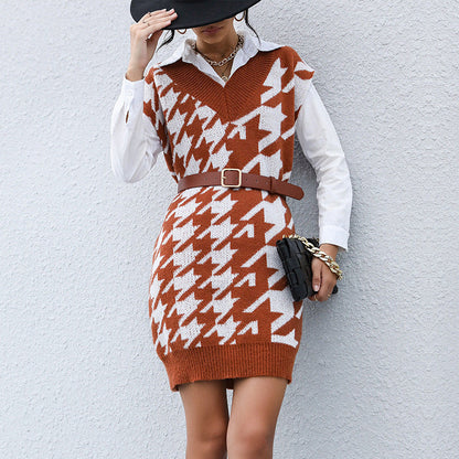 Women Wear Casual Long Sleeve Houndstooth Fall Winter Sweater Dress Outer Wear by Ragazza