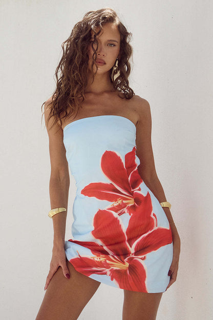 Summer Sexy Women Tube Top Floral Print Slim Sheath Short Dress by Ragazza