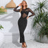 Sexy Round Neck Mesh Stitching Long Long Sleeve Skinny Sheath Dress by Ragazza