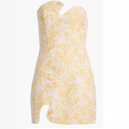 Women Slim Fit Skinny Sexy Niche Dress by Ragazza