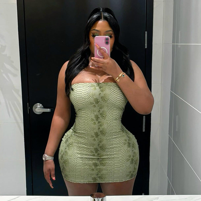 Autumn Winter Women Personalized Snake Pattern Printed Sexy Tube Top Backless Sheath Sexy Dress by Ragazza