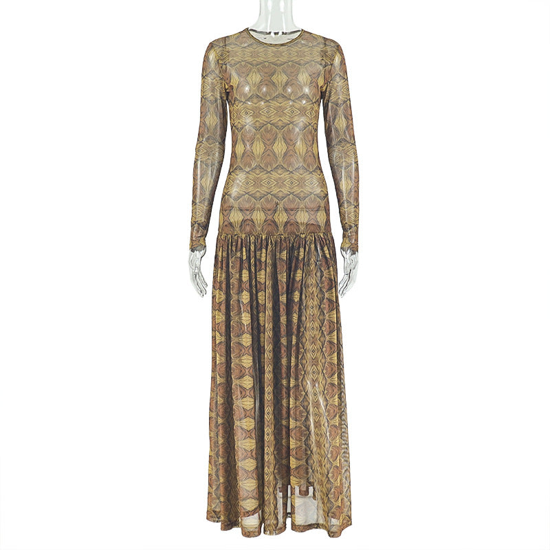 Elegant Retro Women Waist Slimming Micro Transparent A line Printing round Neck Long Sleeved Dress by Ragazza