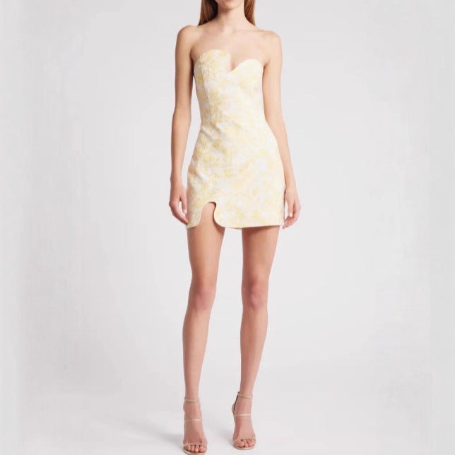 Women Slim Fit Skinny Sexy Niche Dress by Ragazza