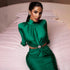 Half High Collar Long Sleeves Stitching Dress Women Sexy Backless Pleated Dress Winter by Ragazza