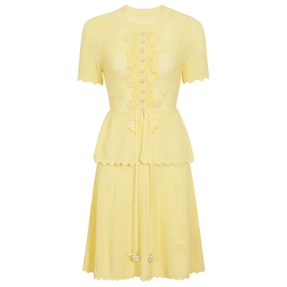 Summer Fashionable Knitted Heavy Embroidery Slimming Short Sleeve Dress for Women  DestGlow