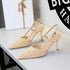 French Ladies Stiletto Heel High Heels Women Sexy High Grade Lace Mesh Pointed Toe Buckle  DestGlow