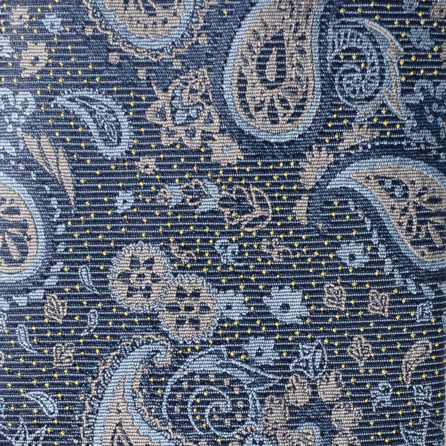 Blue &amp; Gray Paisley Men&