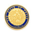 State of Texas Seal Lapel Pin by Cufflinks.com