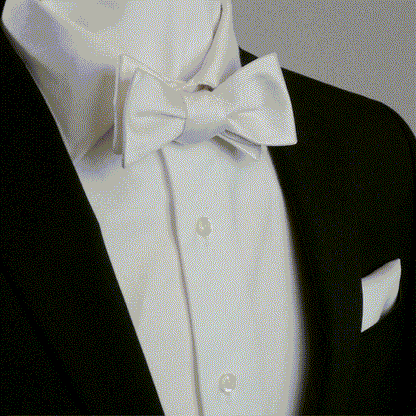 White Silk Self Bow Tie by Cufflinks.com