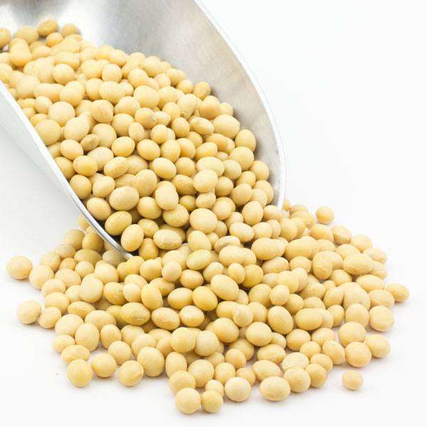 Soy Beans, Organic by Country Life Natural Foods