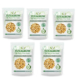 Yuvagrow Makhana Chilli Garlic