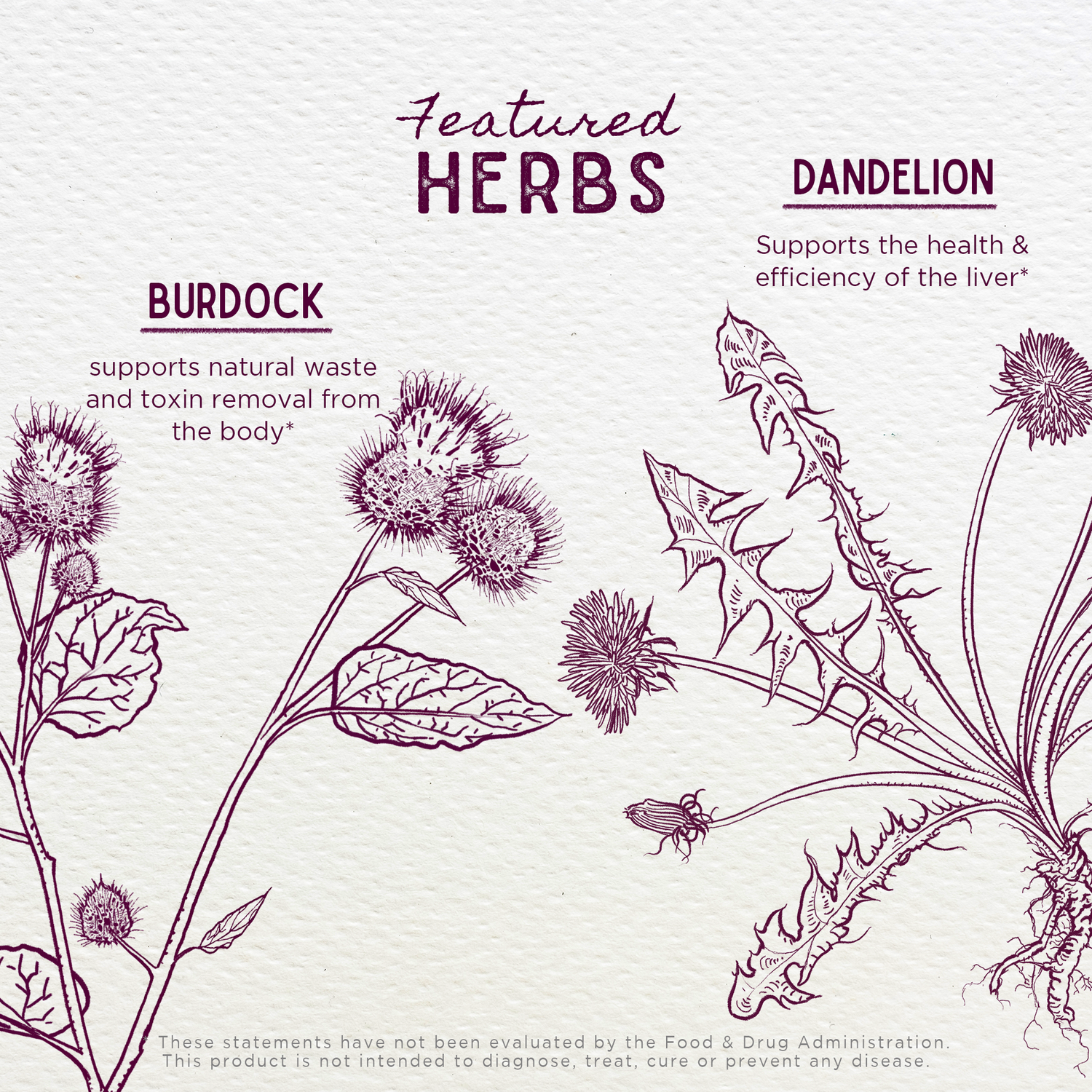 Party Prep: For a Better Morning After by WishGarden Herbs