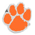 NCAA Clemson University Tigers Lapel Pin by Cufflinks.com