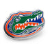 NCAA University of Florida Gators Lapel Pin by Cufflinks.com