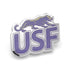 NCAA University of Sioux Falls Lapel Pin by Cufflinks.com