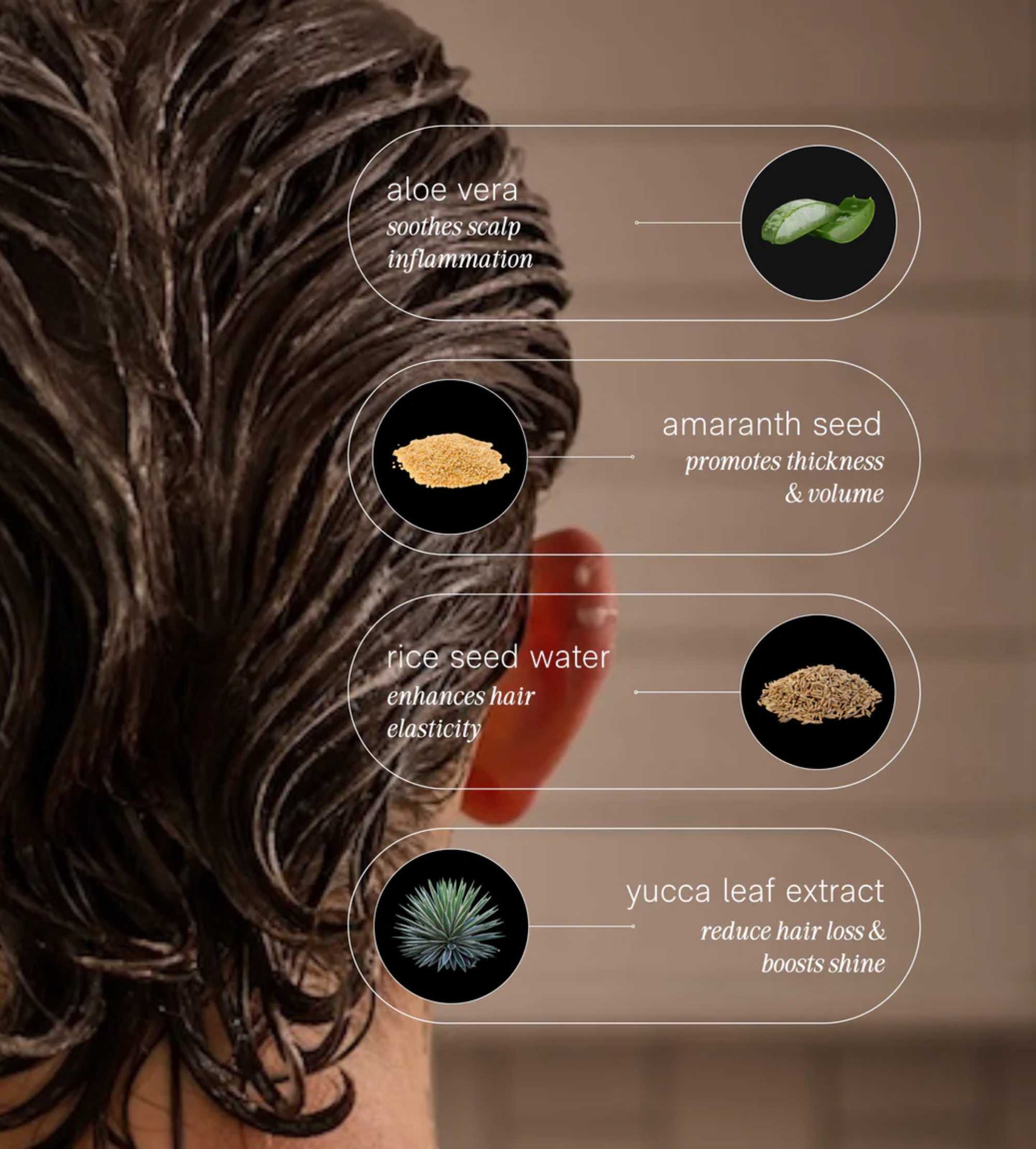 Conditioner by JACK HENRY