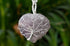Amethyst Heart Silver Wire Wrapped Pendant, Crystal Heart Silver Wrapped Pendant  DestGlow