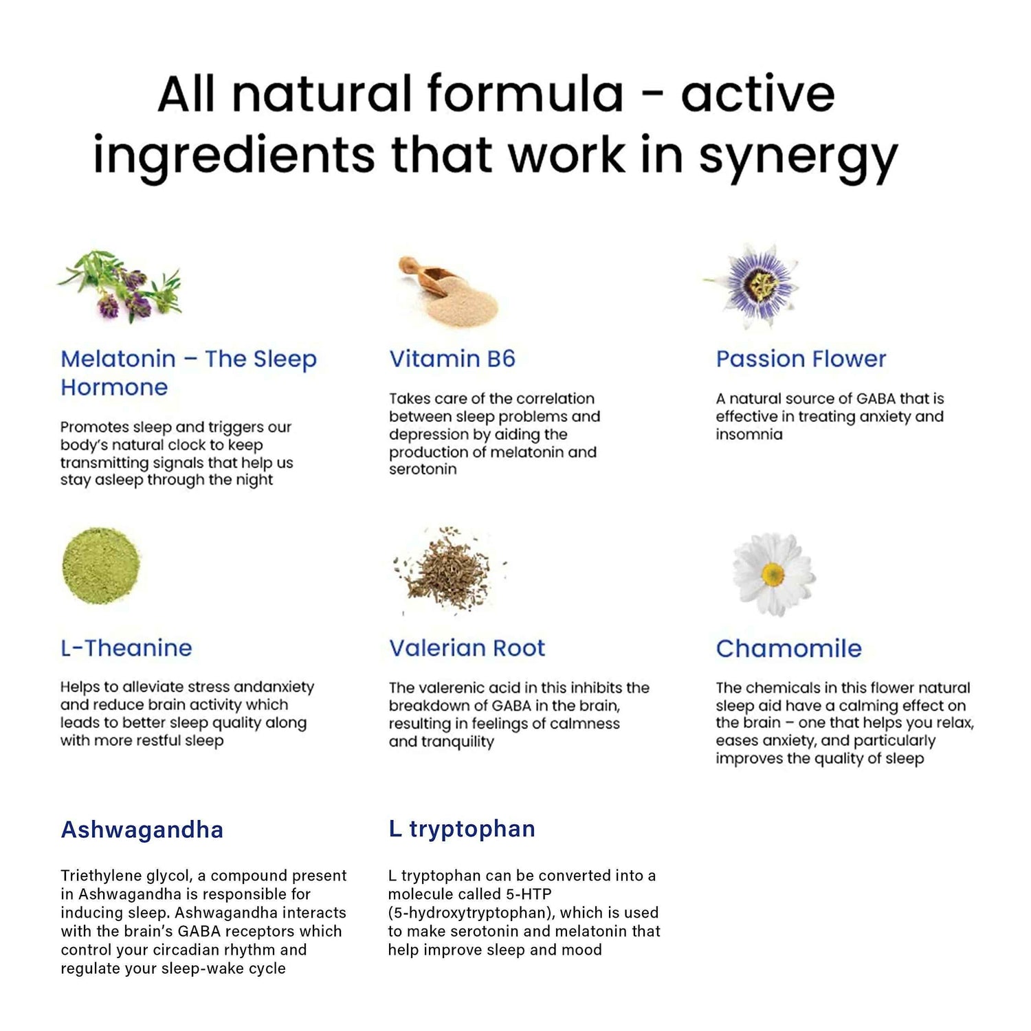 Wellbeing Nutrition Melts Restful Sleep &amp; Melts Into Multivitamins Oral Strips Combo