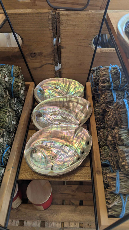 Abalone Shell