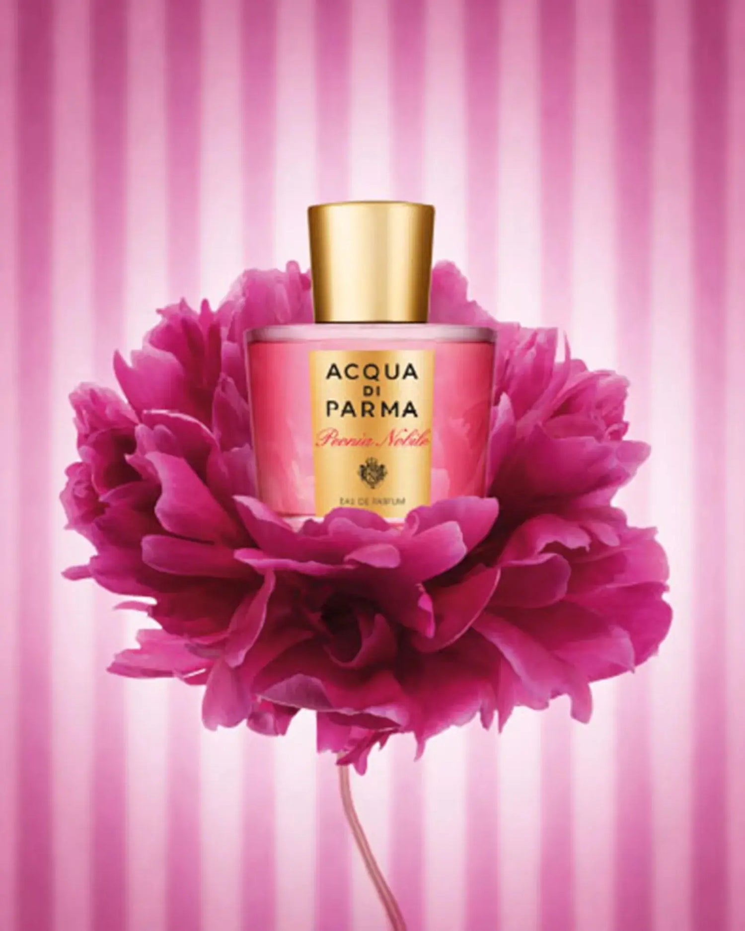 Peonia Nobile By Acqua Di Parma For Women 3.4oz EDP Spray by perfumesandrea