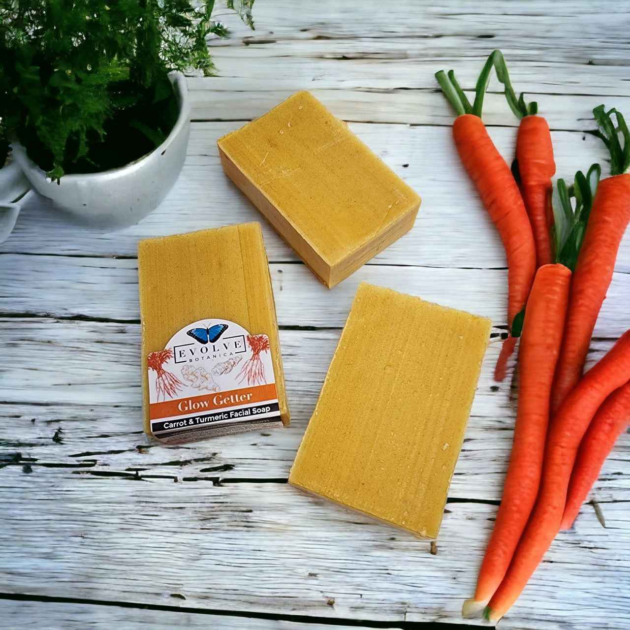 Standard Soap - Glow Getter (Carrot, Turmeric &amp; Honey Facial Soap)