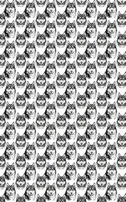 Snow Trails &amp; Husky Tails