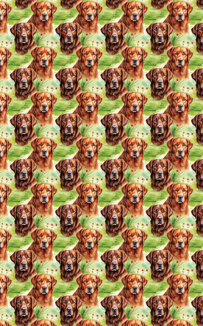 Bay Breeze Companion