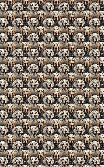 English Setter: Spotted Companions