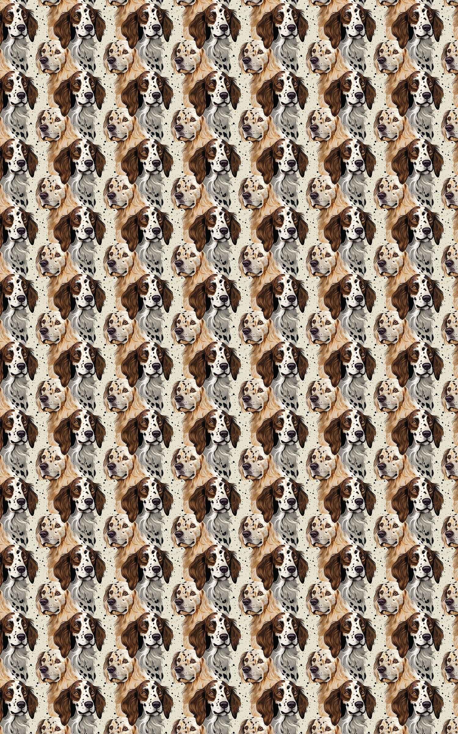 Setters in Stillness