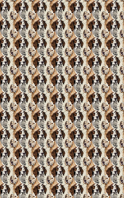 Setters in Stillness