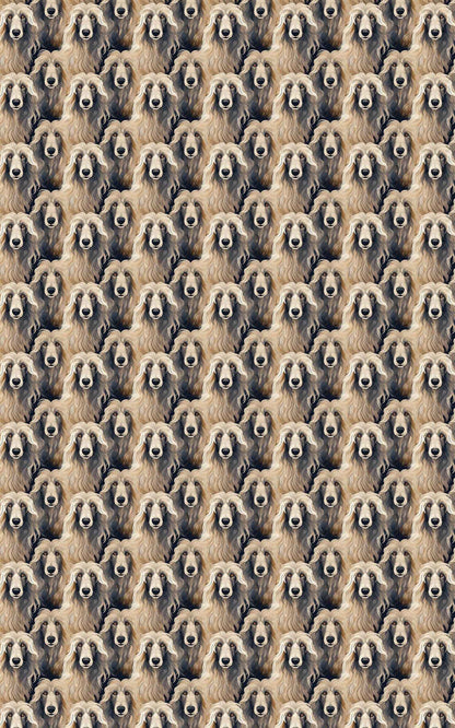 Afghan Hound Serenity