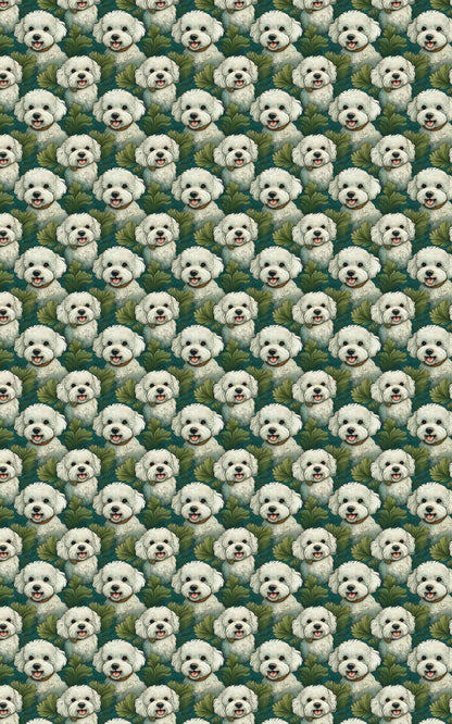 Bichon Bounce